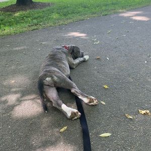 Meet your Posher, Danina